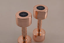 Load image into Gallery viewer, luxury weights